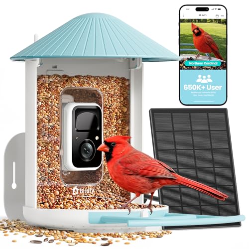 NETVUE by Birdfy Smart Bird Feeder with 2K AI Camera Review